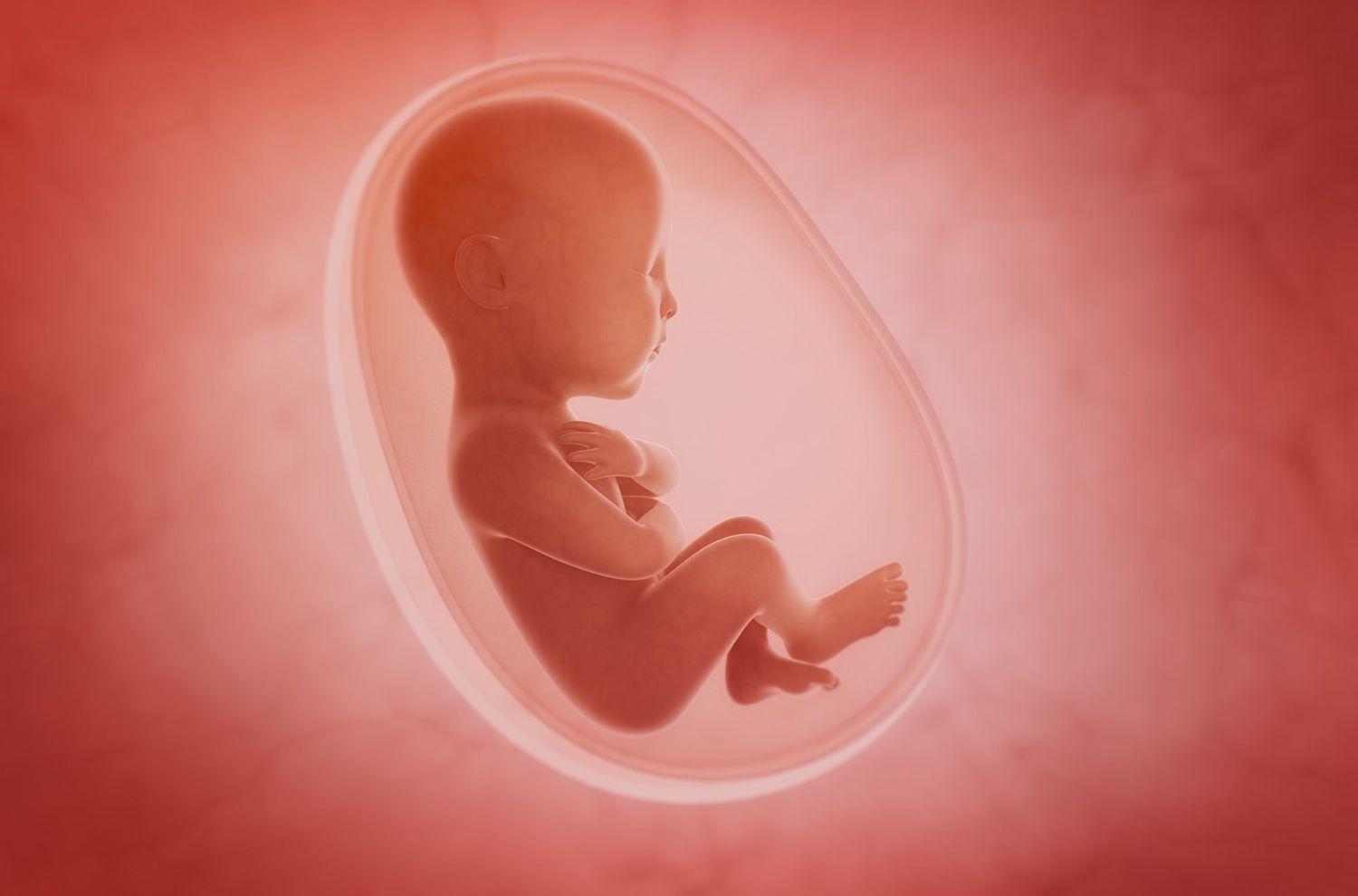 seeing fetus dream islam