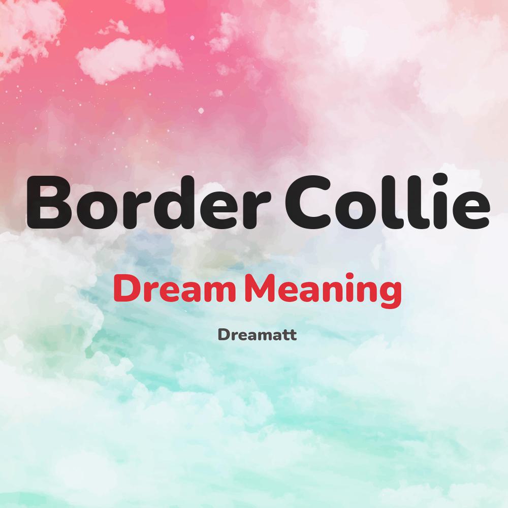 what is the spiritual meaning of Border Collie in dreams, dreaming about Border Collie