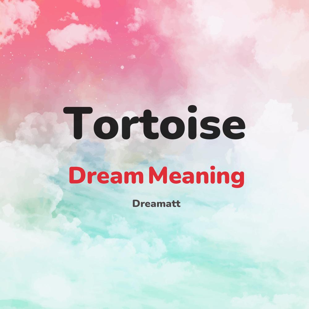 what is the spiritual meaning of Tortoise in dreams, dreaming about Tortoise