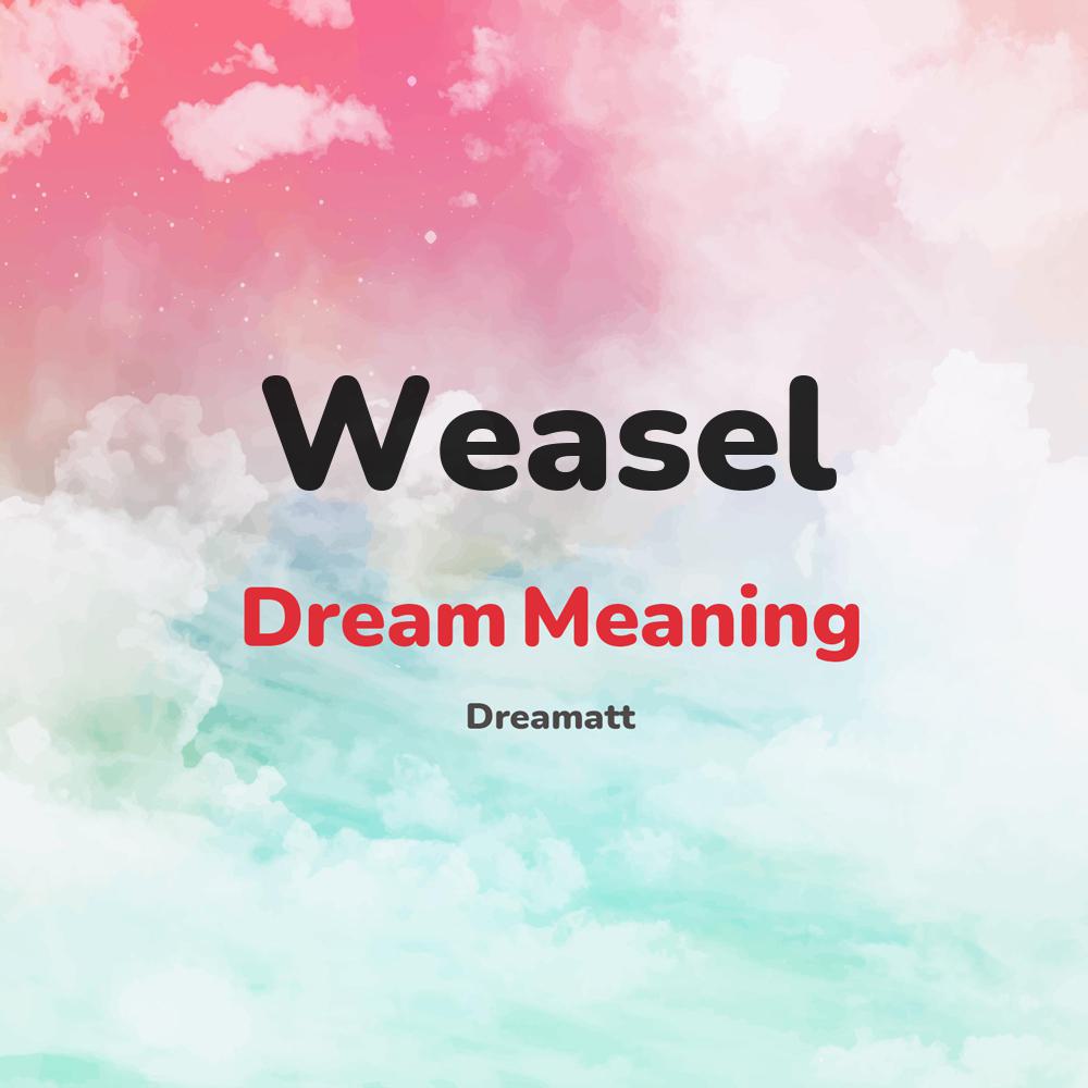 what is the spiritual meaning of Weasel in dreams, dreaming about Weasel